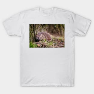 European Hedgehog T-Shirt